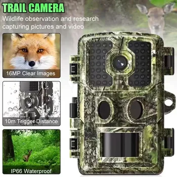3 бр./лот Спортна камера на открито 1080P HD Проследяване на животни Мониторинг на двора Инфрачервена камера Водоустойчива камера на дивата природа